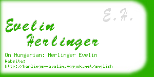 evelin herlinger business card